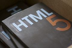 Buy Introducing HTML5 by Bruce Lawson and Remy Sharp